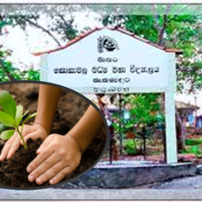 වගා ව්‍යාපෘතිය